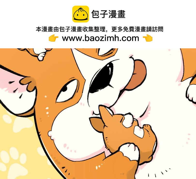 《司基拉》这不是坑爹吗！！？ 第3页