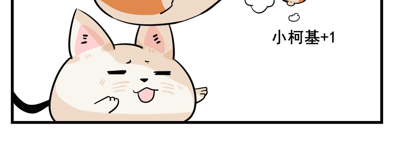 《司基拉》这不是坑爹吗！！？ 第8页