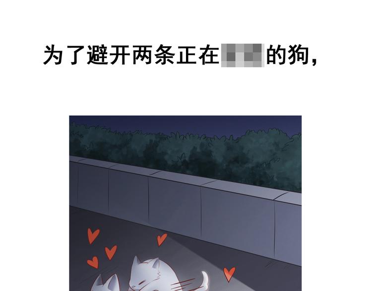 《我不要这样的恋爱》前情提要 第21页