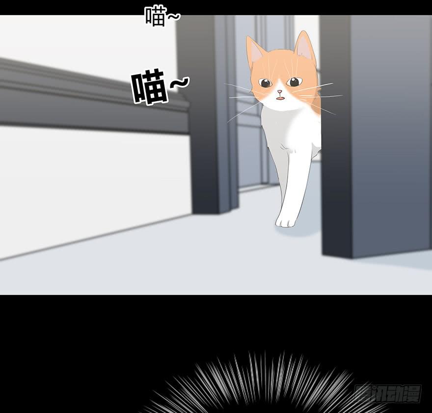 《救命！我变成idol了》这也算是女生？ 第11页