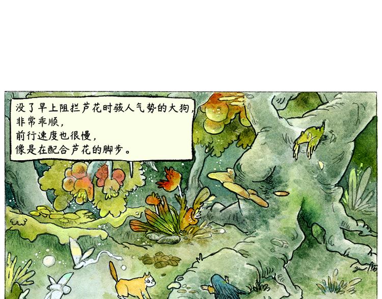 《芦花和胖头鸟森林》【第二话】真话糖果与谎话糖果 第12页