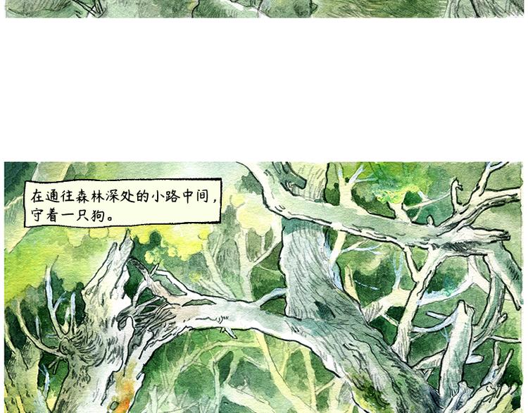 《芦花和胖头鸟森林》【第一话】芦花森林挡路狗 第8页