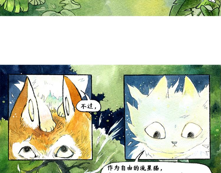 《芦花和胖头鸟森林》【第四话】月亮巴士 第16页