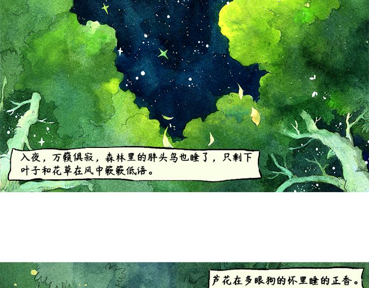 《芦花和胖头鸟森林》【第四话】月亮巴士 第6页