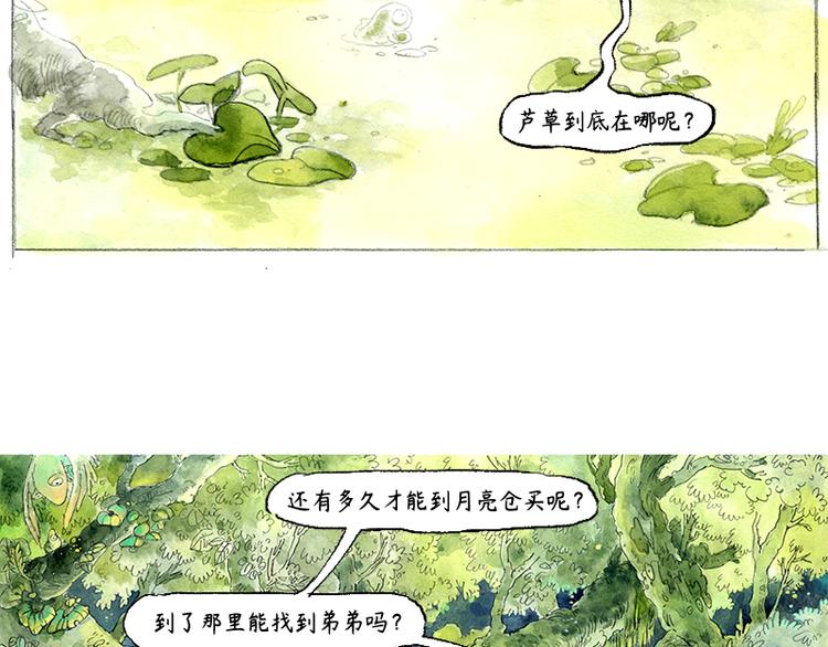 《芦花和胖头鸟森林》【第三话】流星猫 第18页