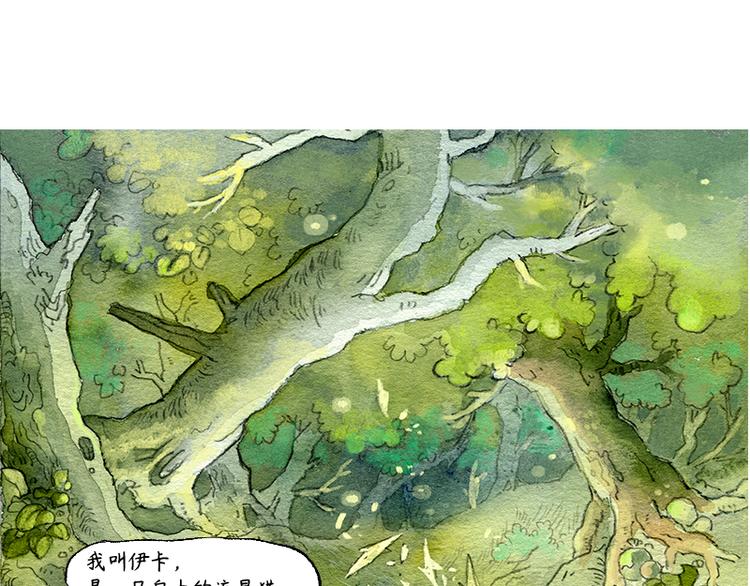 《芦花和胖头鸟森林》【第三话】流星猫 第26页