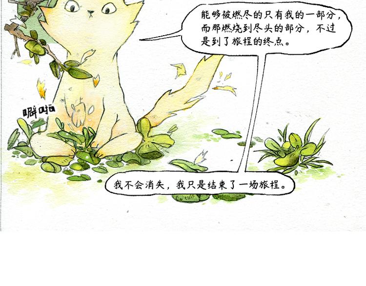 《芦花和胖头鸟森林》【第三话】流星猫 第36页