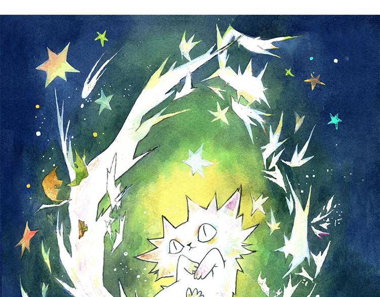 《芦花和胖头鸟森林》【第三话】流星猫 第3页