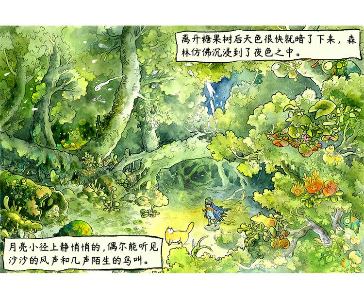 《芦花和胖头鸟森林》【第三话】流星猫 第5页