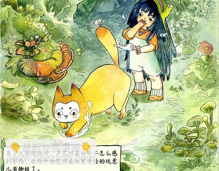 《芦花和胖头鸟森林》【第三话】流星猫 第7页