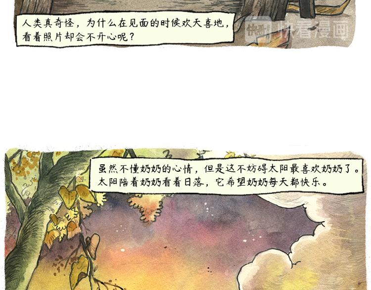 《芦花和胖头鸟森林》【第六话】多眼狗 第14页