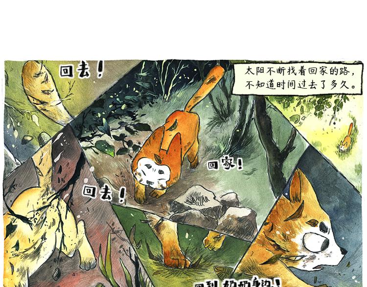 《芦花和胖头鸟森林》【第六话】多眼狗 第38页
