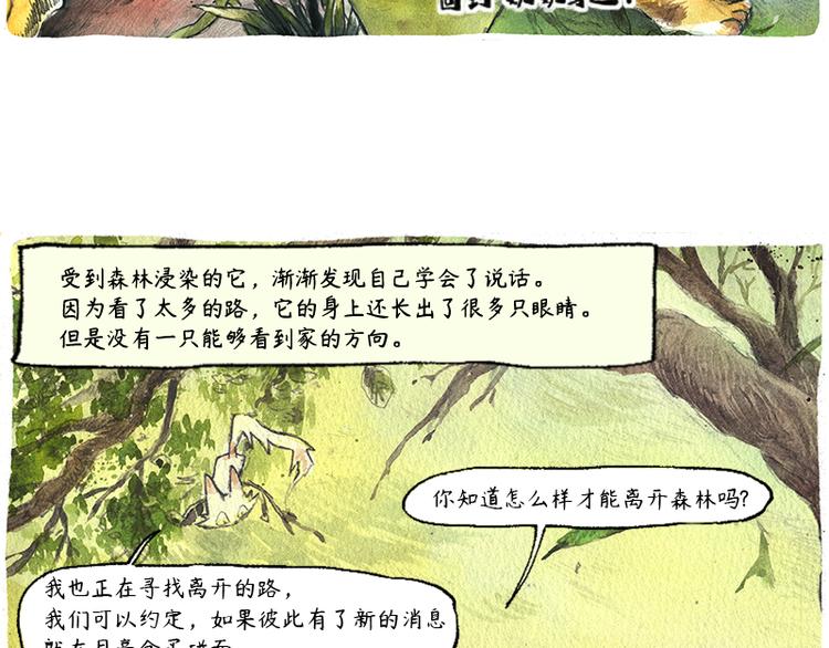 《芦花和胖头鸟森林》【第六话】多眼狗 第39页