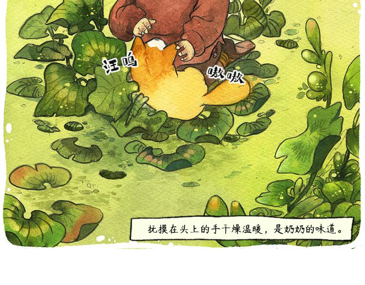 《芦花和胖头鸟森林》【第六话】多眼狗 第9页