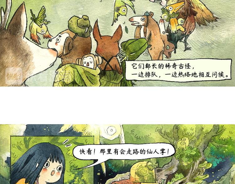 《芦花和胖头鸟森林》【第五话】月亮仓买 第10页