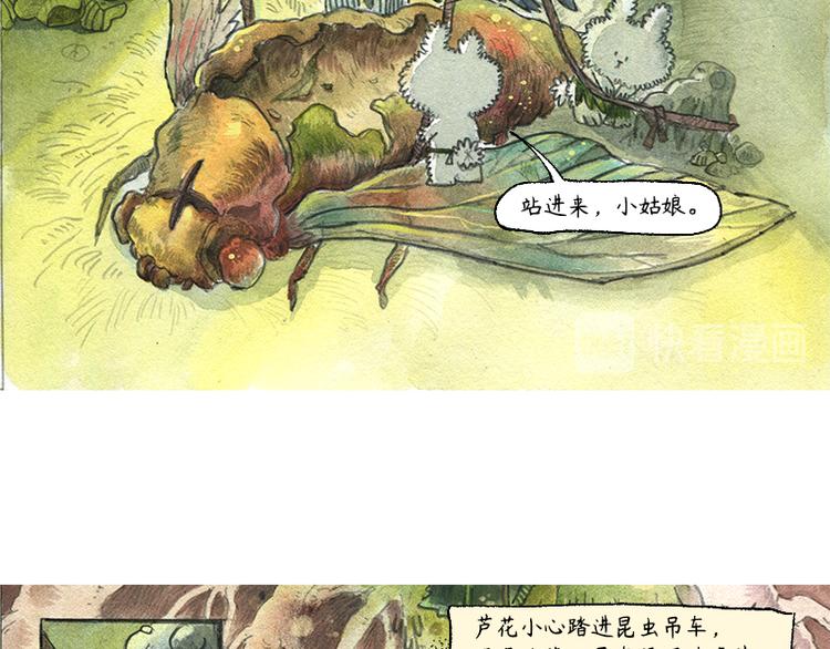 《芦花和胖头鸟森林》【第八话】胡萝卜解放 第35页