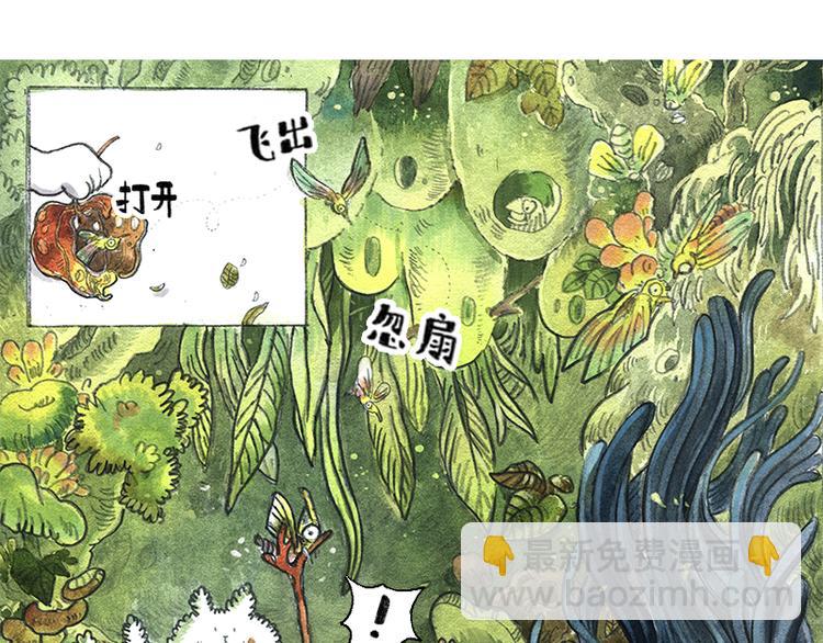 《芦花和胖头鸟森林》【第九话】仲夏萤火祭 第15页