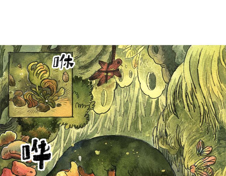 《芦花和胖头鸟森林》【第九话】仲夏萤火祭 第25页