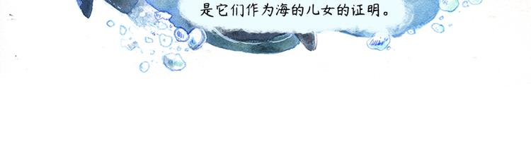 《芦花和胖头鸟森林》【第十话】海豚菲洛 第36页