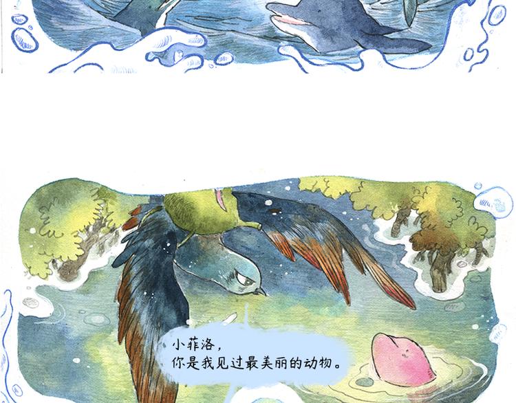 《芦花和胖头鸟森林》【第十话】海豚菲洛 第46页