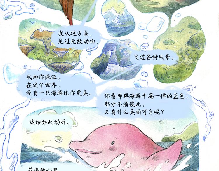 《芦花和胖头鸟森林》【第十话】海豚菲洛 第47页