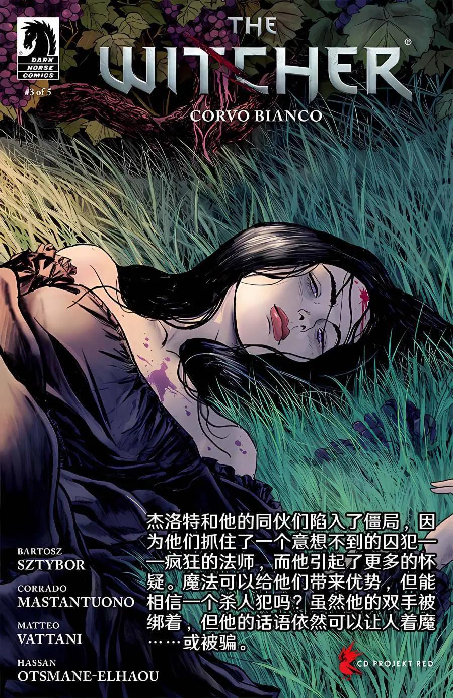 《巫师爱欲之火》第10卷 第28页