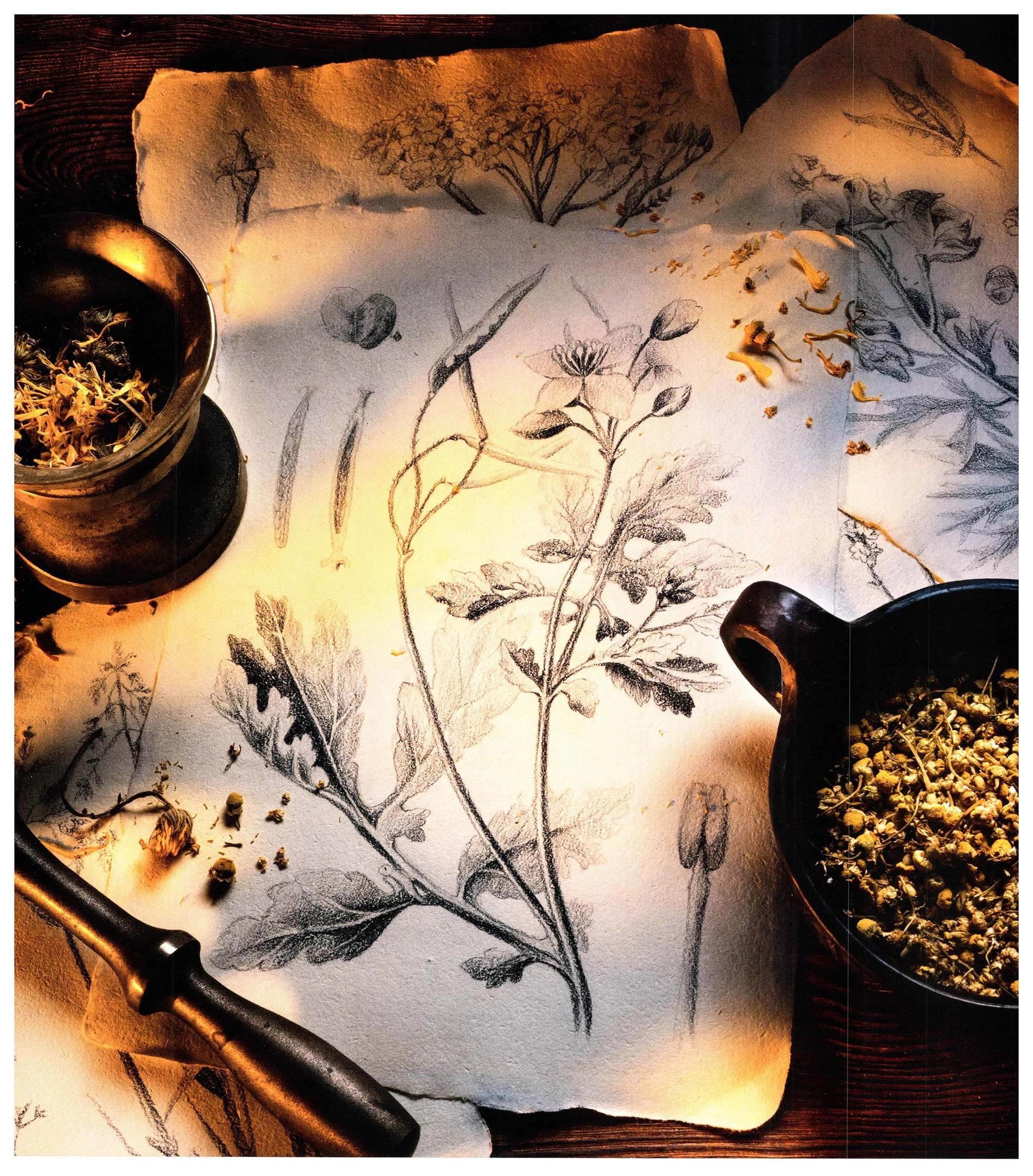 《巫师爱欲之火》食谱4 第45页