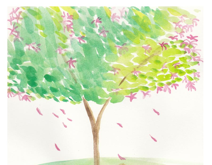 《默鱼绘本集》紫荆花 第1页