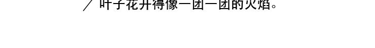 《默鱼绘本集》长篇天台上的萤火虫精选2 第17页
