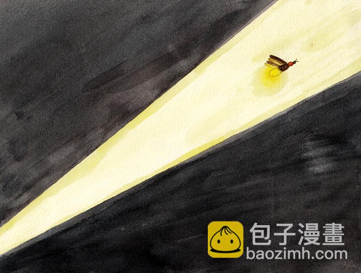 《默鱼绘本集》长篇天台上的萤火虫精选1 第5页