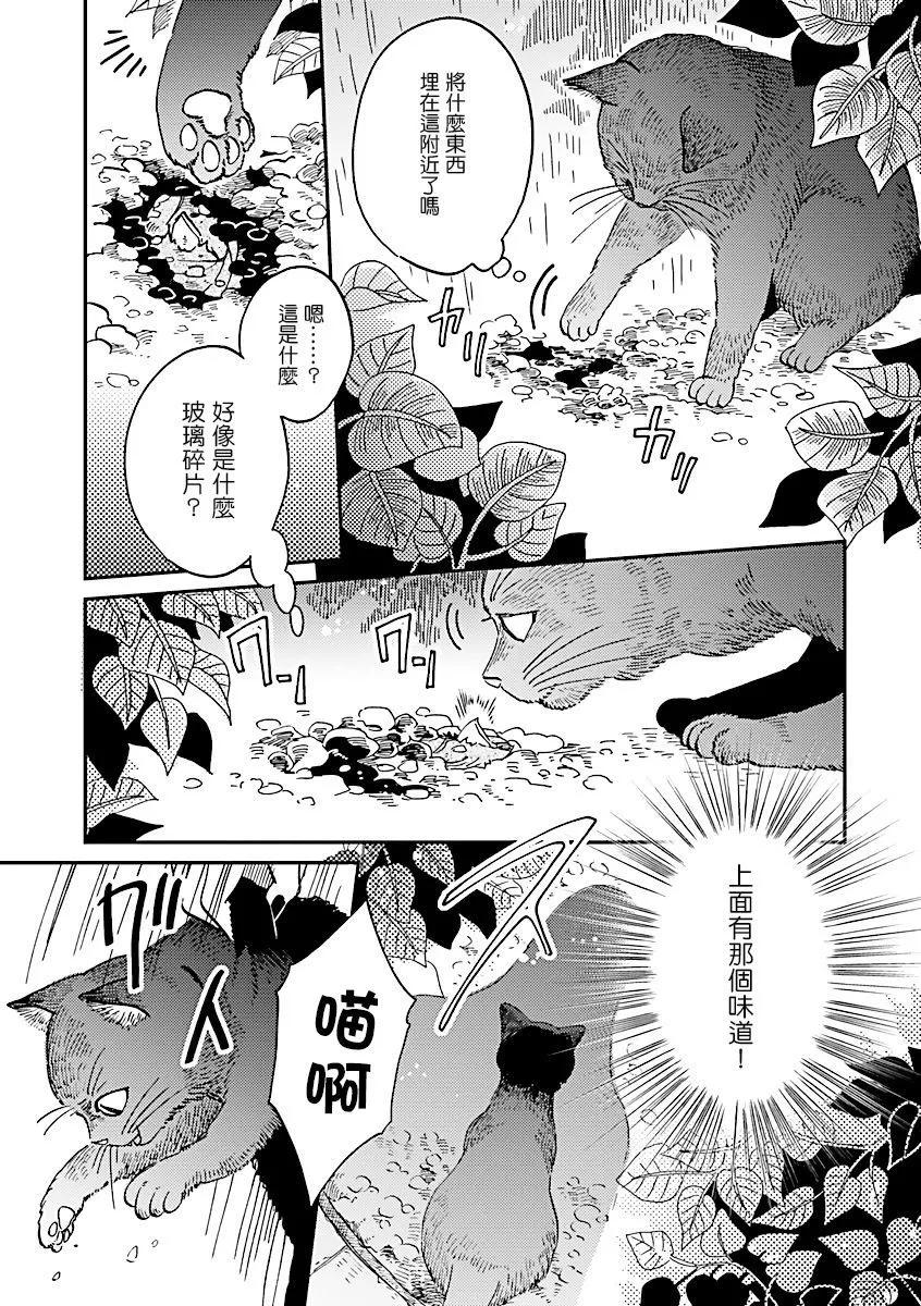 《艾拉和外国的王》第34话 第9页
