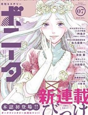 《艾拉和外国的王》漫画封面图 - tl漫画