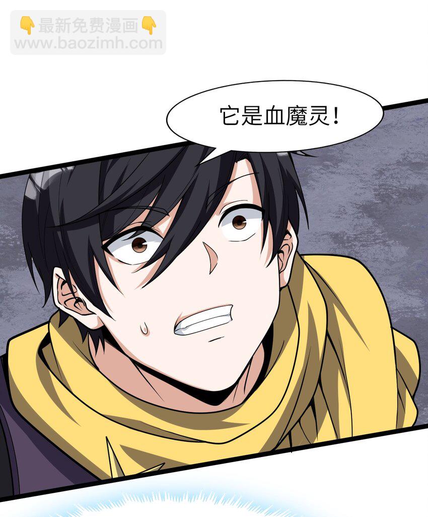《内测千年，游戏终于开服了！》019 血魔灵 第33页