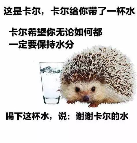 《Arknight collection》巨大博士多喝水 第1页
