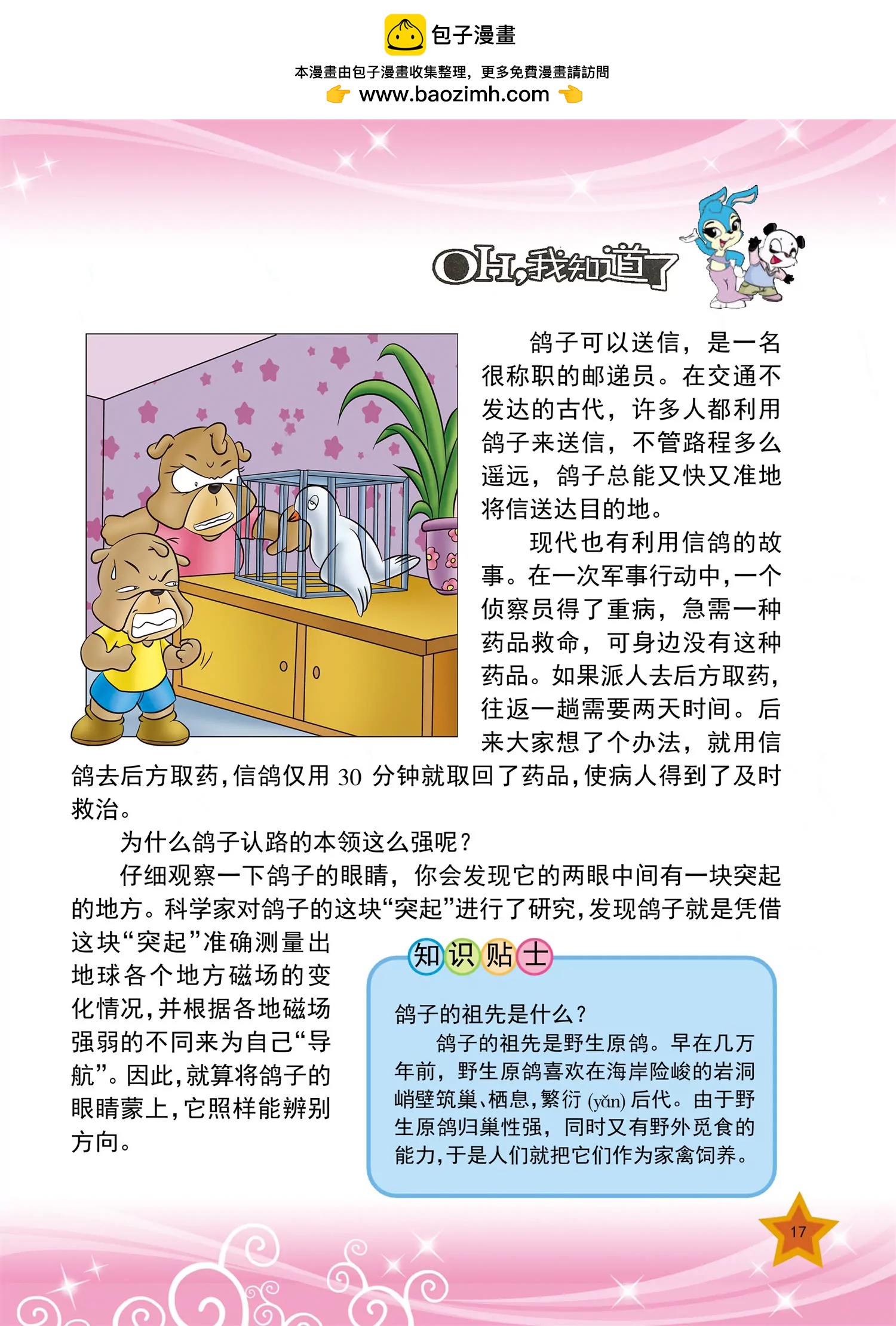 《虹猫蓝兔十万个为什么之动物卷》第2话 为什么鸽子不会迷路 第2页