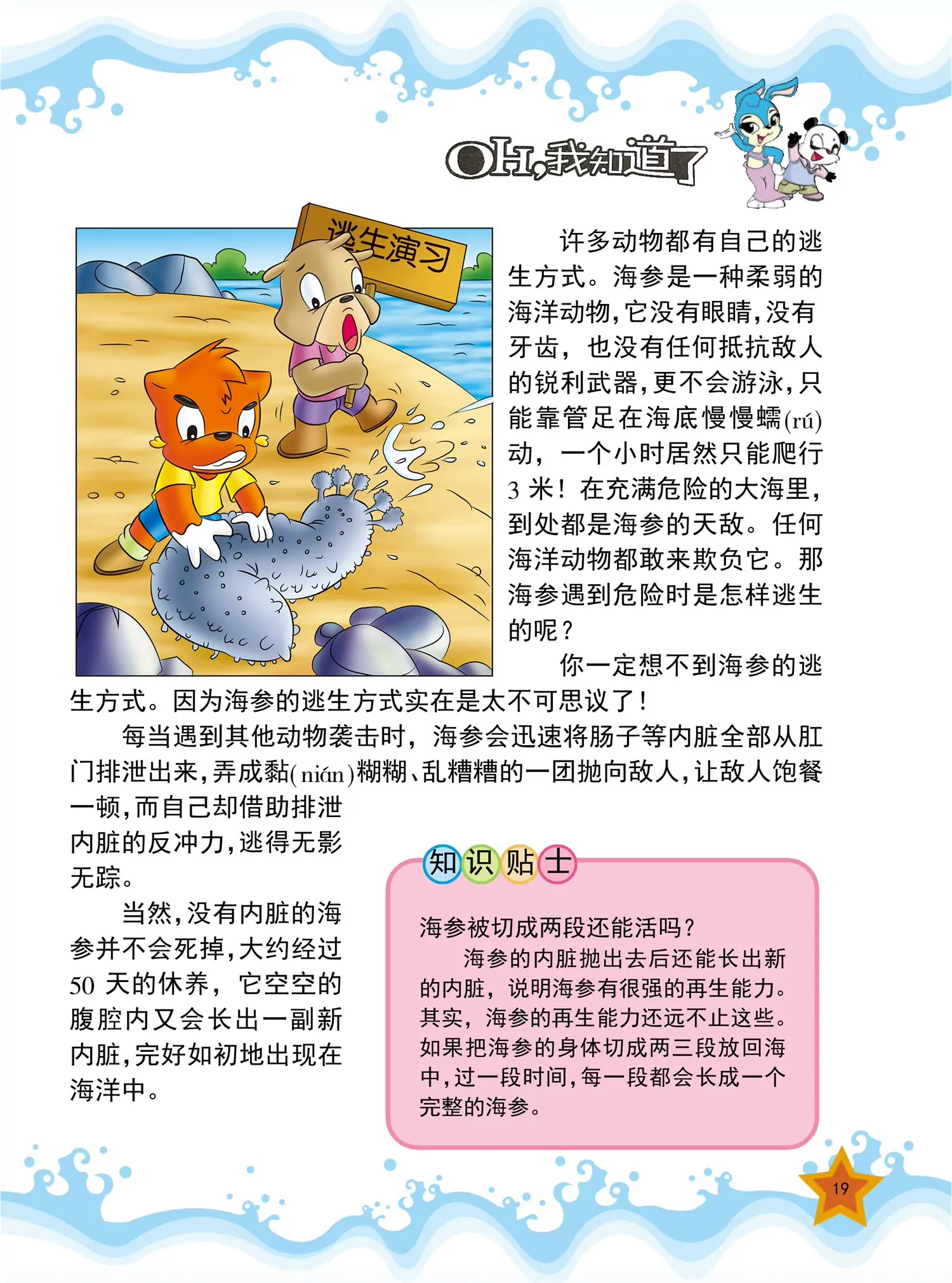 《虹猫蓝兔十万个为什么之动物卷》第2话 为什么鸽子不会迷路 第4页