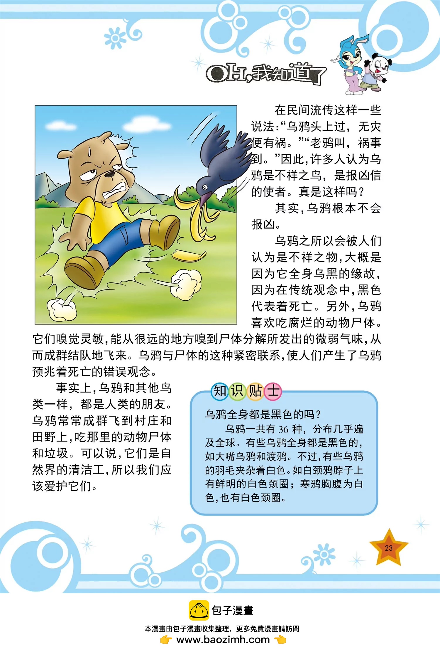 《虹猫蓝兔十万个为什么之动物卷》第2话 为什么鸽子不会迷路 第8页