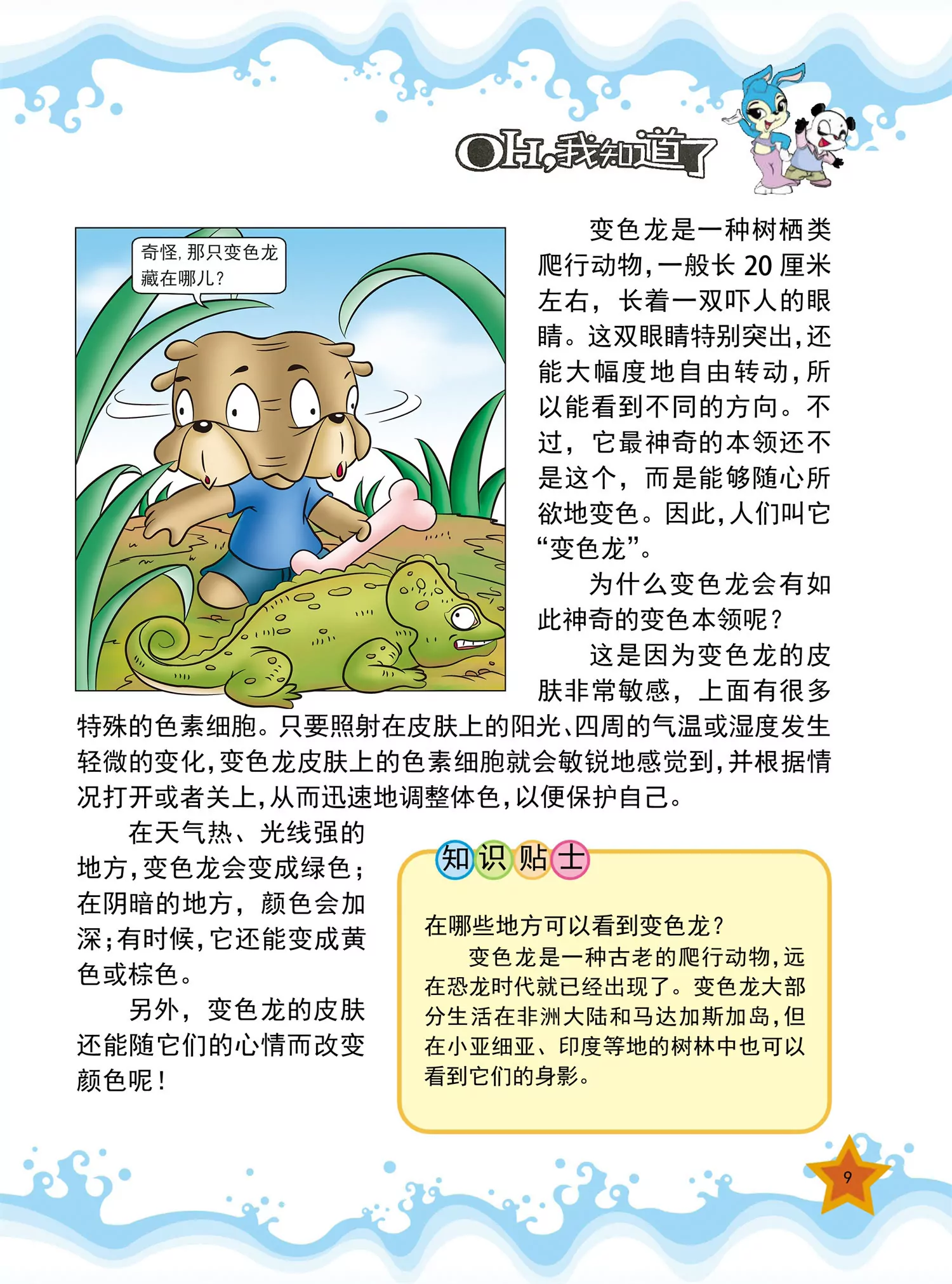 《虹猫蓝兔十万个为什么之动物卷》第1话 为什么变色龙会变色 第9页