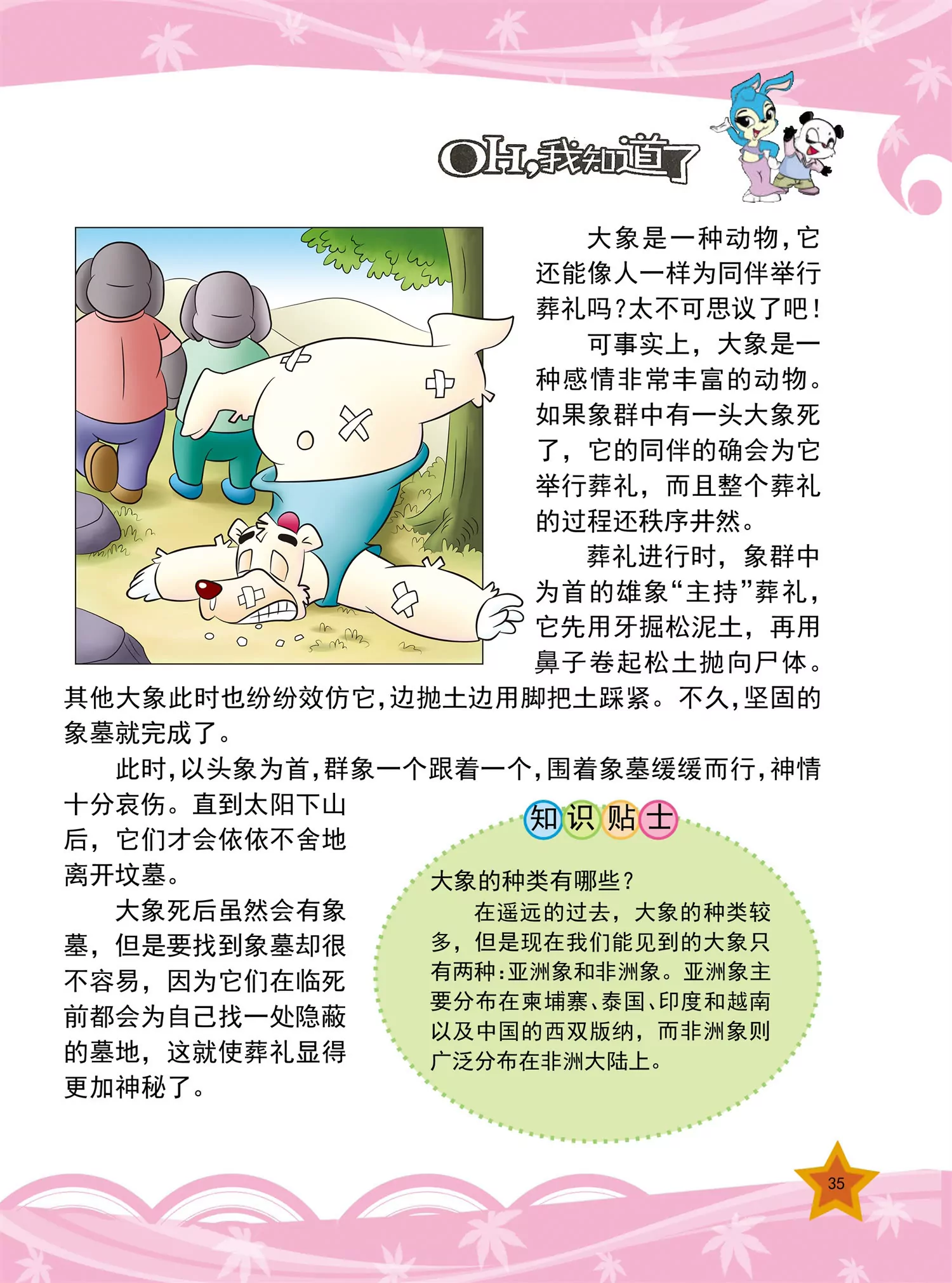 《虹猫蓝兔十万个为什么之动物卷》第4话 为什么家禽不会飞 第4页