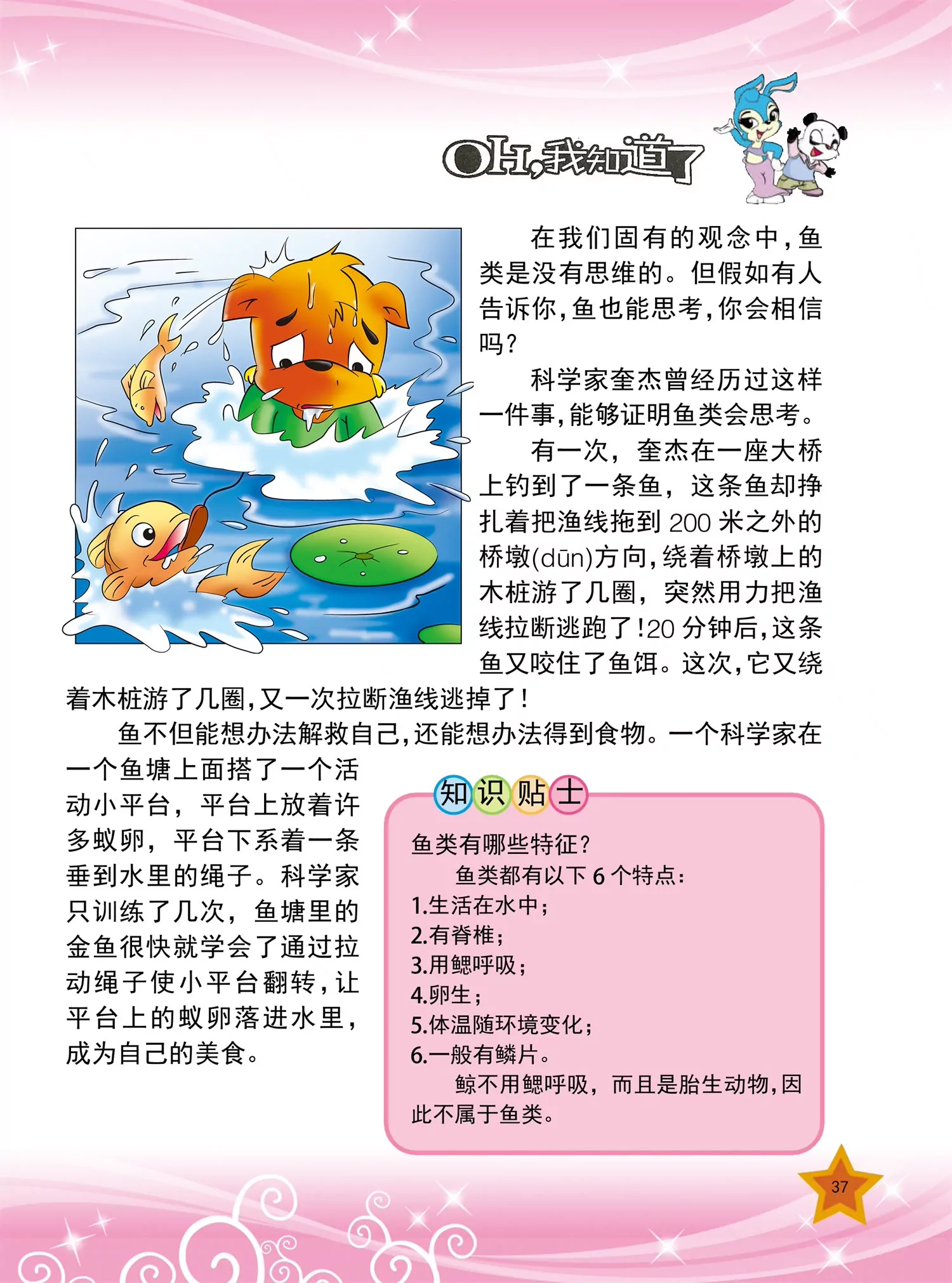 《虹猫蓝兔十万个为什么之动物卷》第4话 为什么家禽不会飞 第6页