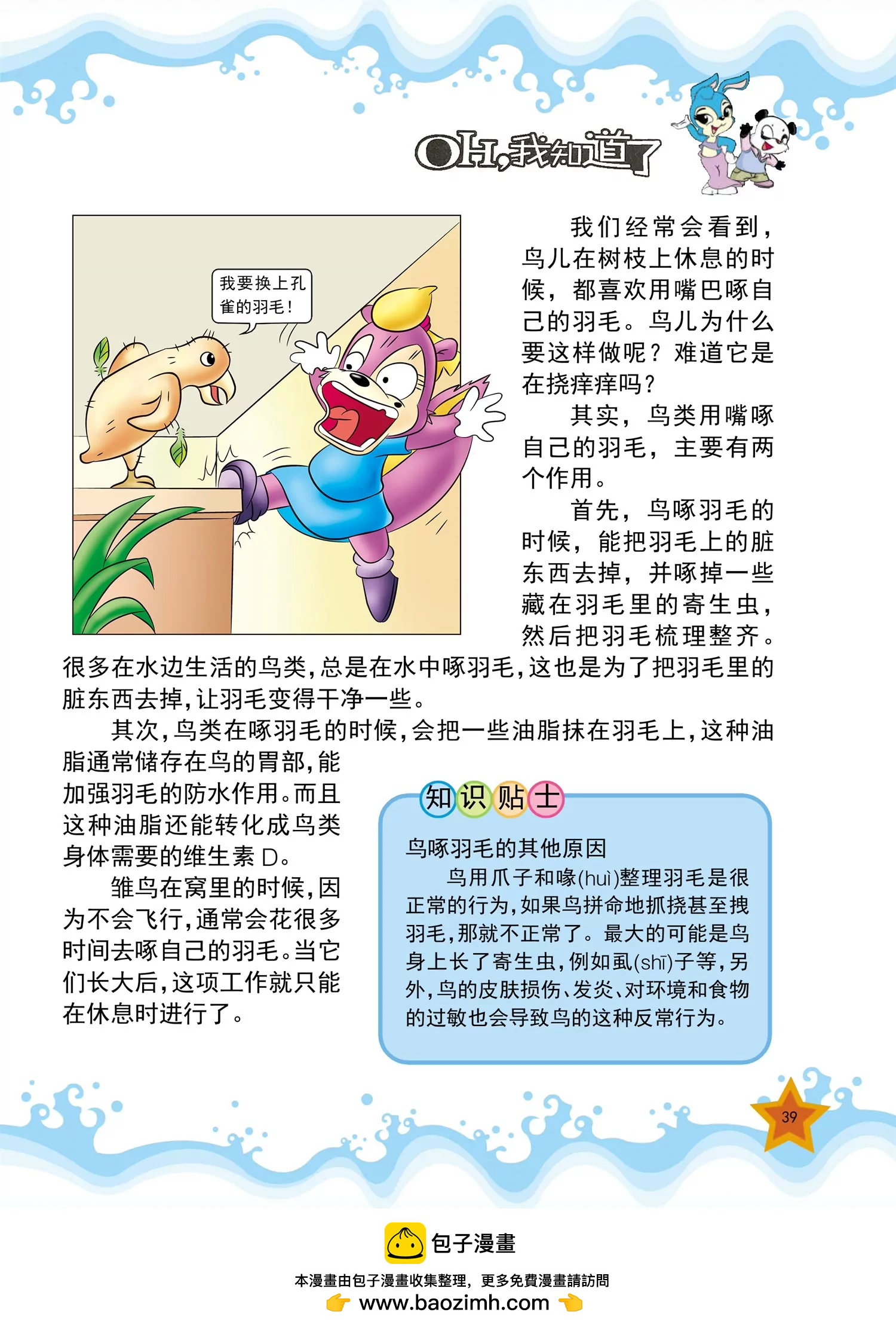 《虹猫蓝兔十万个为什么之动物卷》第4话 为什么家禽不会飞 第8页