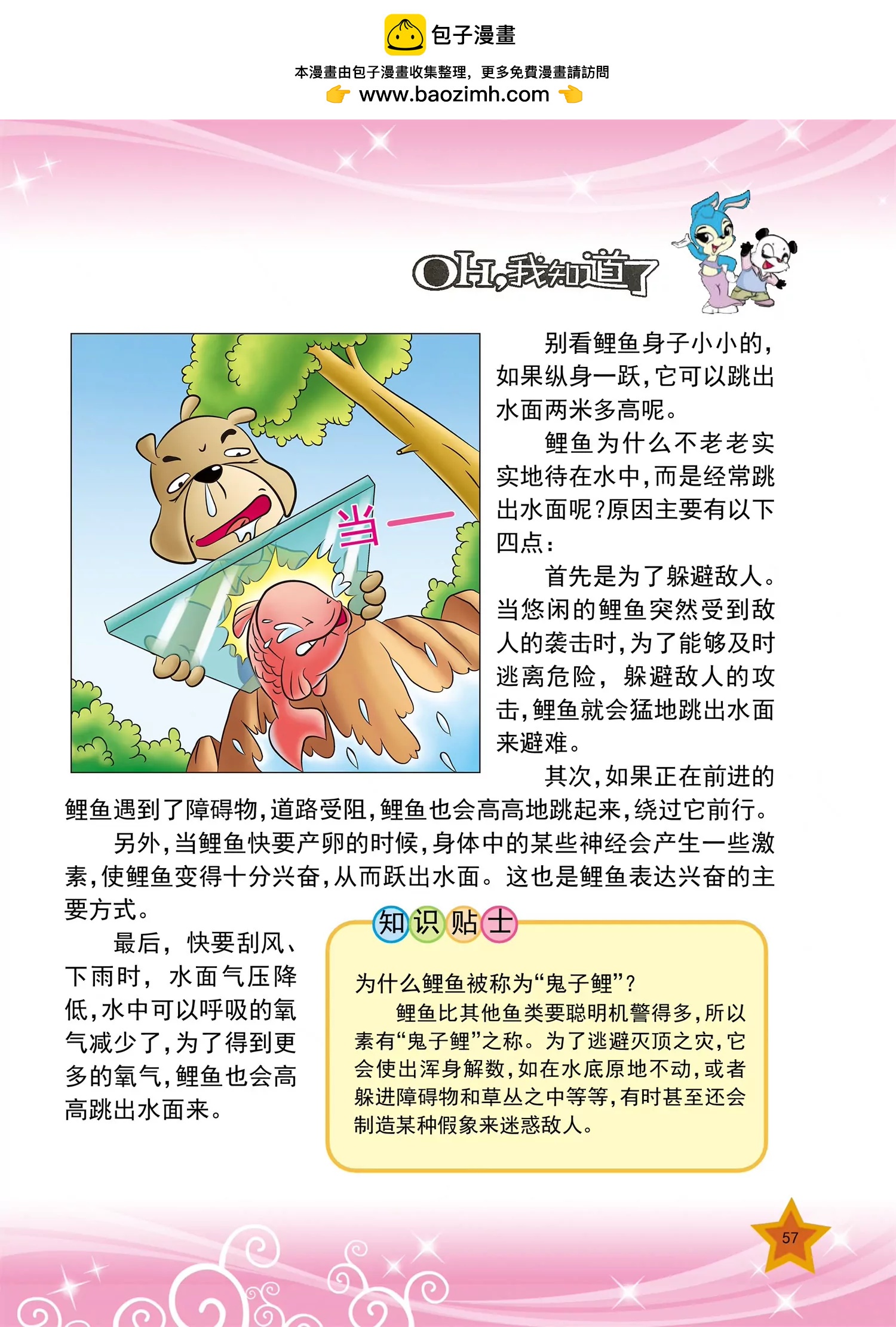 《虹猫蓝兔十万个为什么之动物卷》第7话 为什么鲤鱼爱跳水 第2页