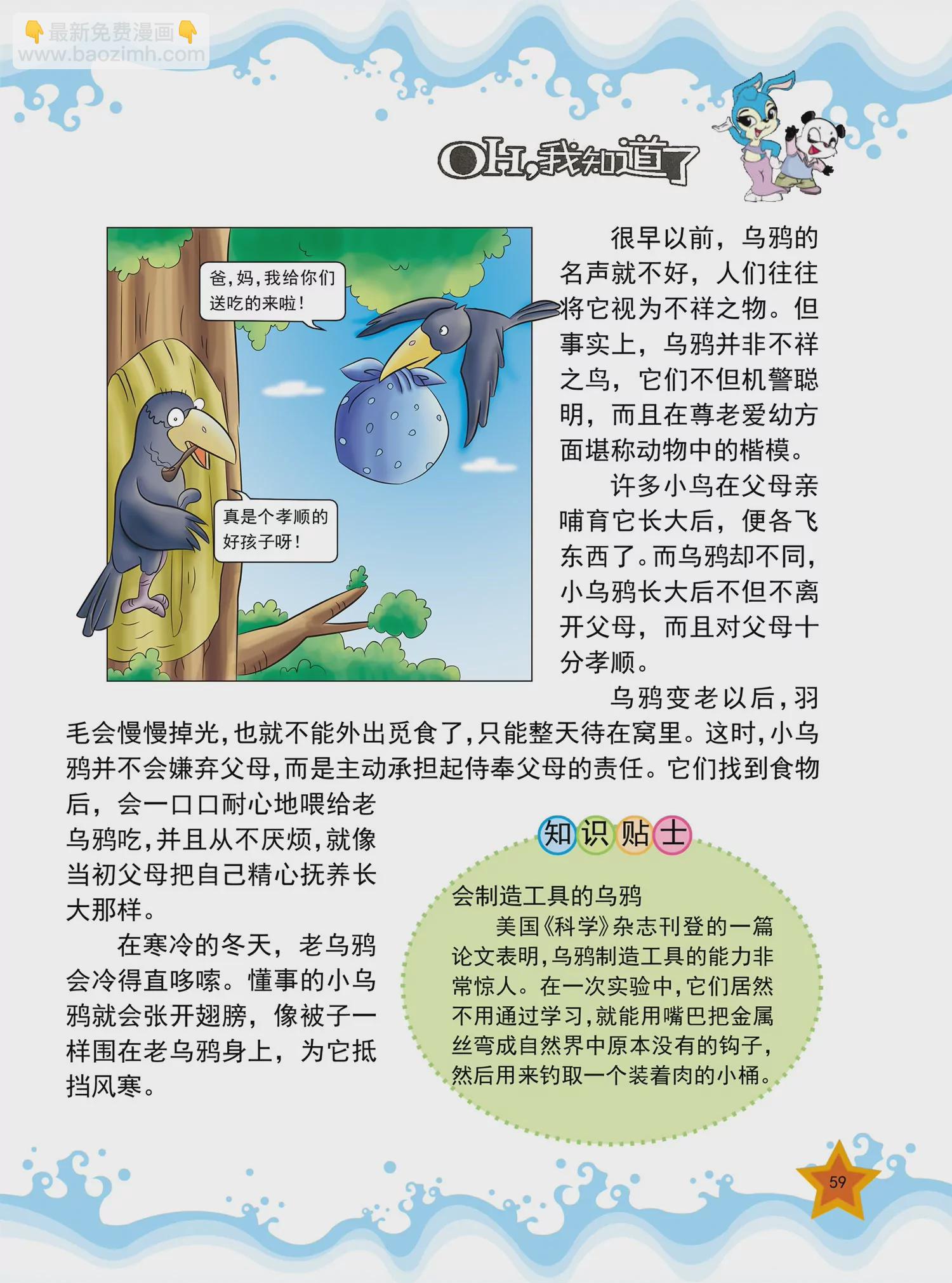 《虹猫蓝兔十万个为什么之动物卷》第7话 为什么鲤鱼爱跳水 第4页