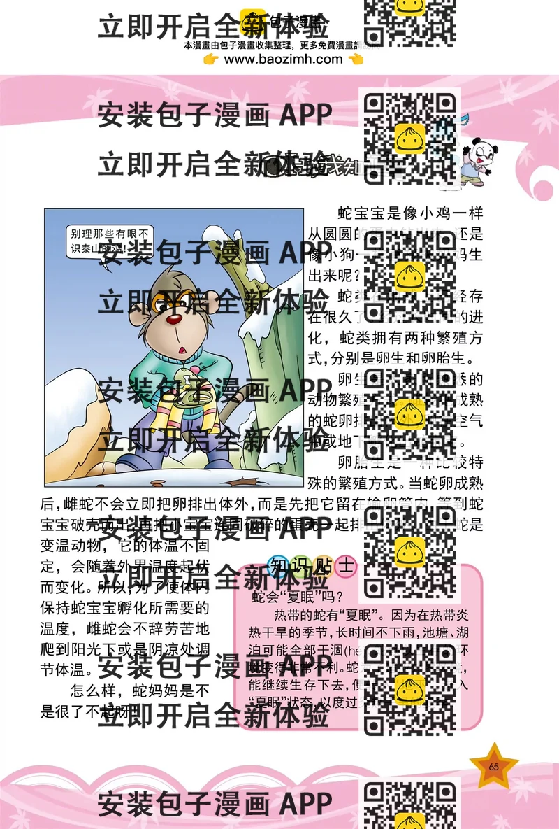 《虹猫蓝兔十万个为什么之动物卷》第8话 蛇宝宝是怎么出生的 第2页