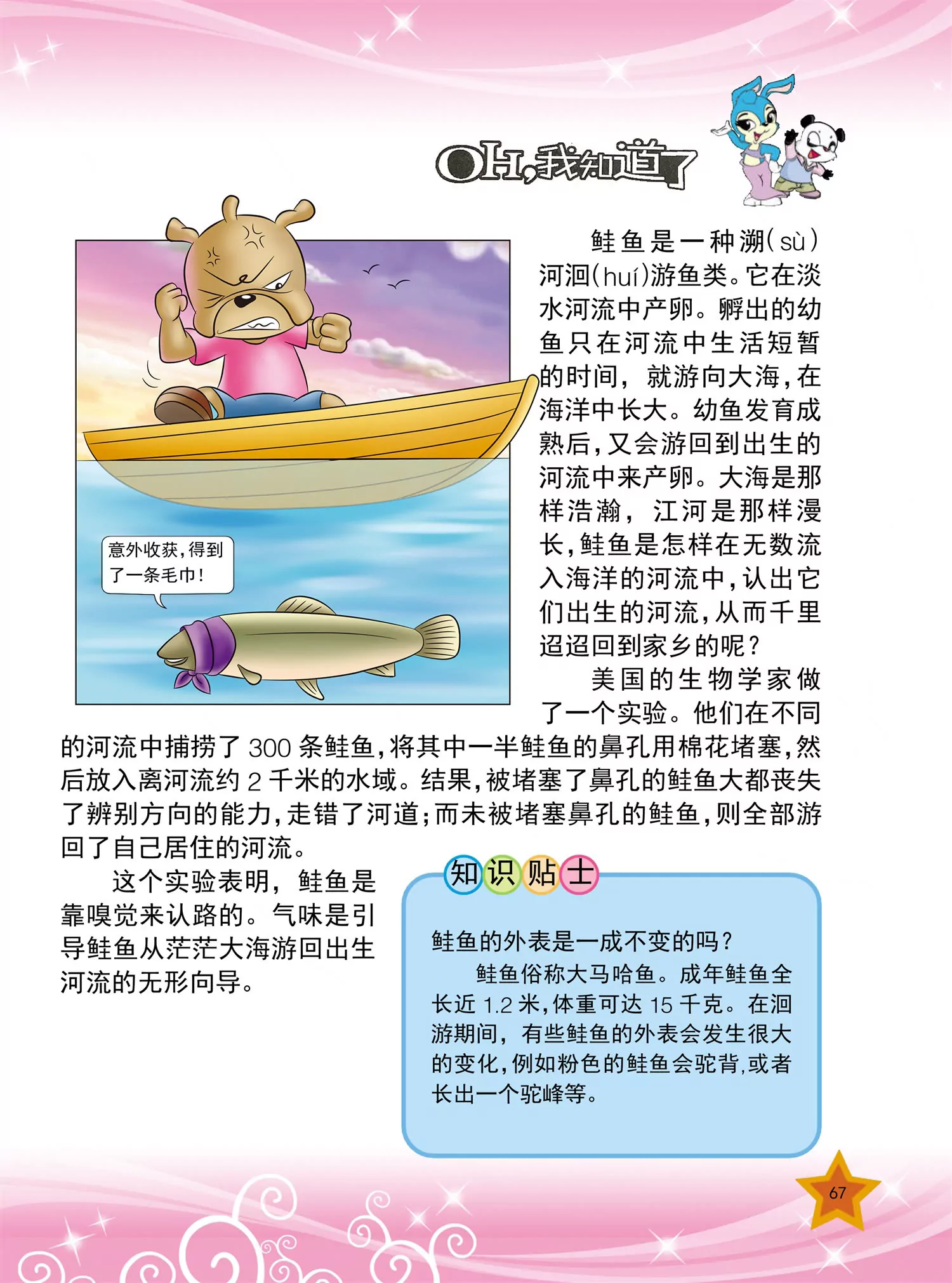 《虹猫蓝兔十万个为什么之动物卷》第8话 蛇宝宝是怎么出生的 第4页