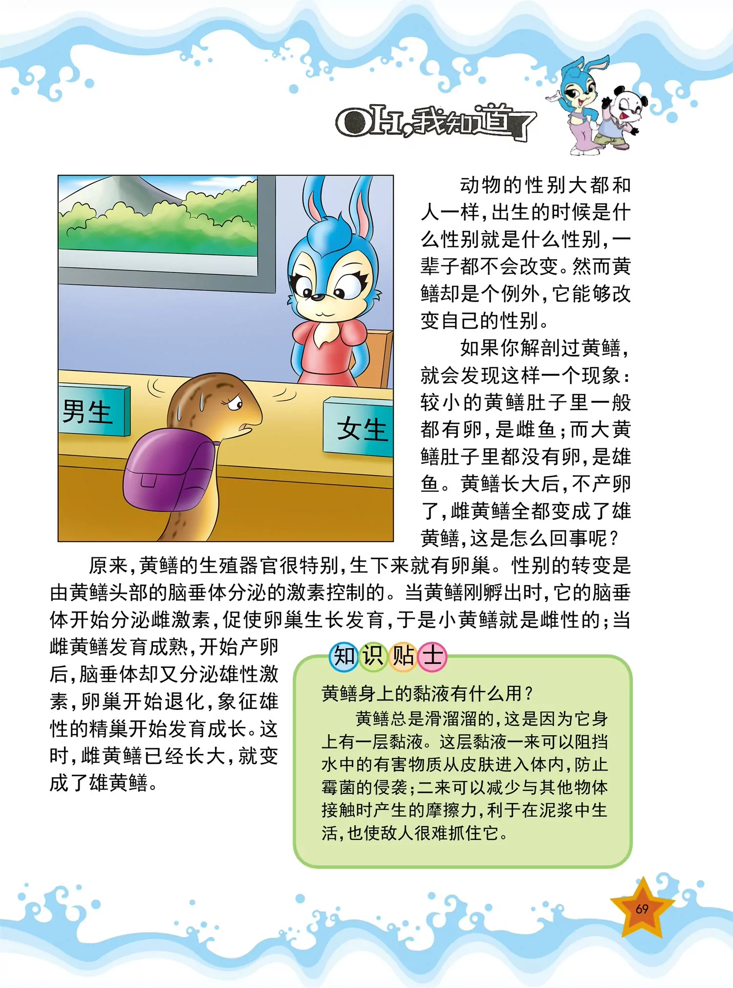 《虹猫蓝兔十万个为什么之动物卷》第8话 蛇宝宝是怎么出生的 第6页