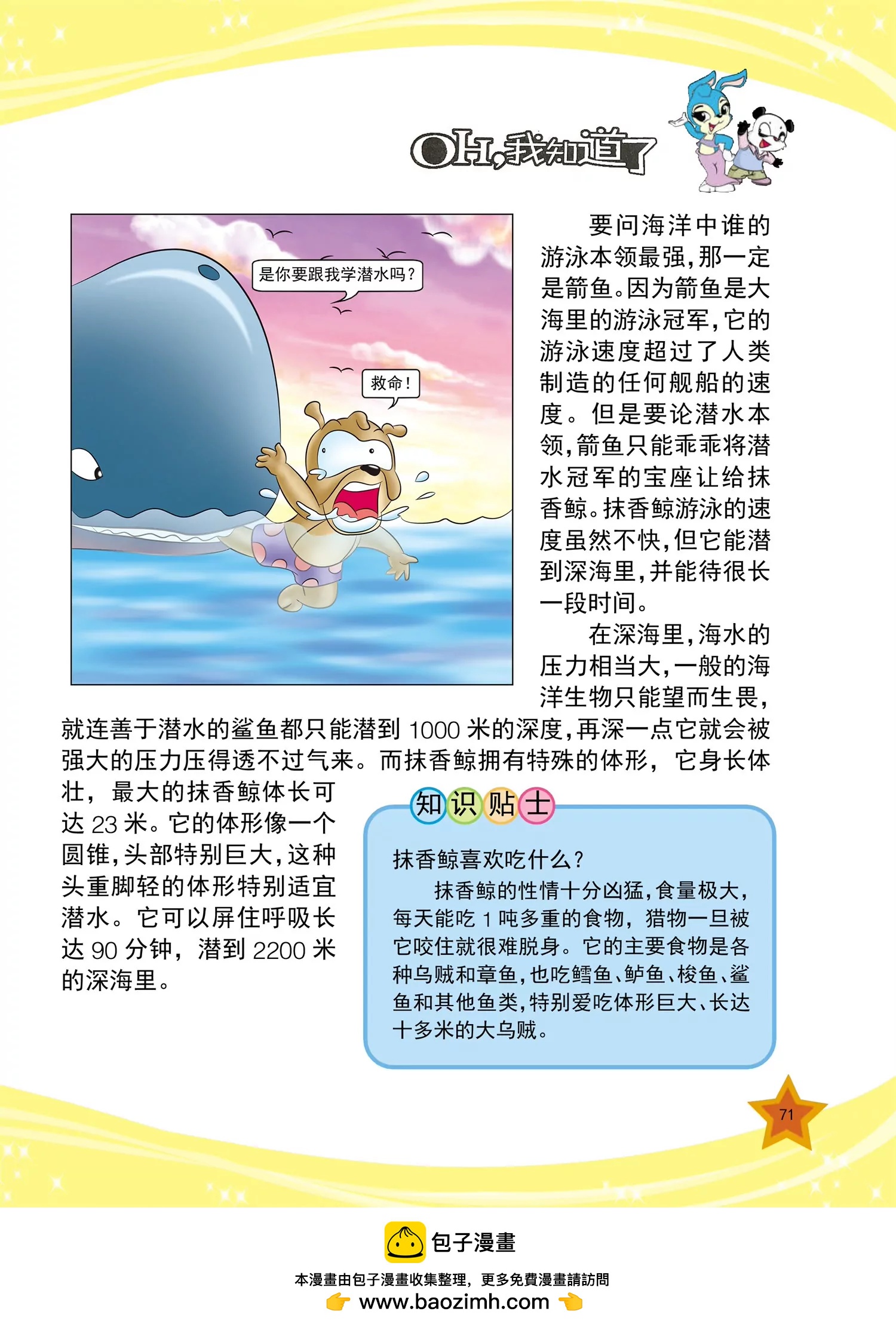 《虹猫蓝兔十万个为什么之动物卷》第8话 蛇宝宝是怎么出生的 第8页