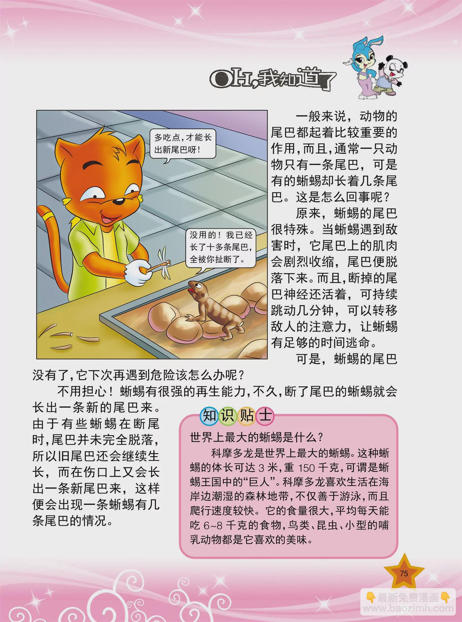 《虹猫蓝兔十万个为什么之动物卷》第9话 为什么北极熊不怕冷 第4页