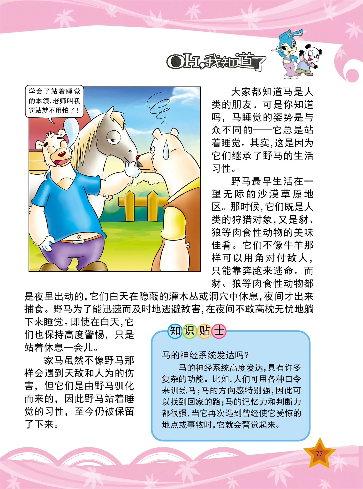 《虹猫蓝兔十万个为什么之动物卷》第9话 为什么北极熊不怕冷 第6页