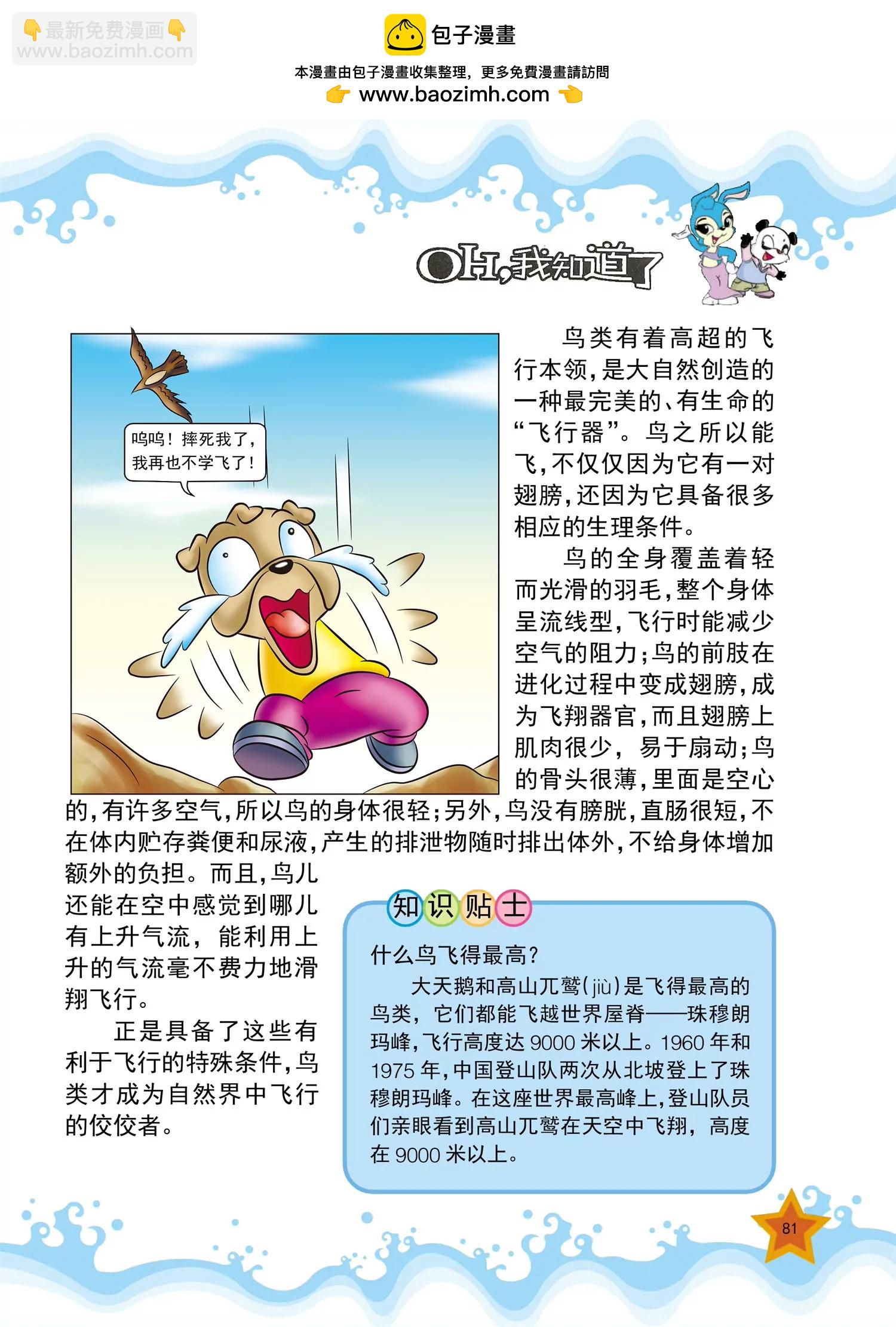 《虹猫蓝兔十万个为什么之动物卷》第10话 为什么鸟能在天空飞翔 第2页